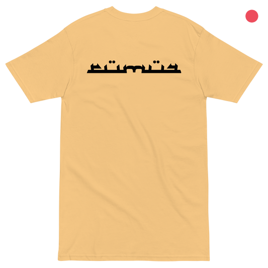RUMUЯ Karim Tee